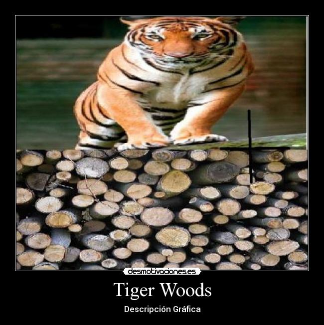 Tiger Woods - Descripción Gráfica