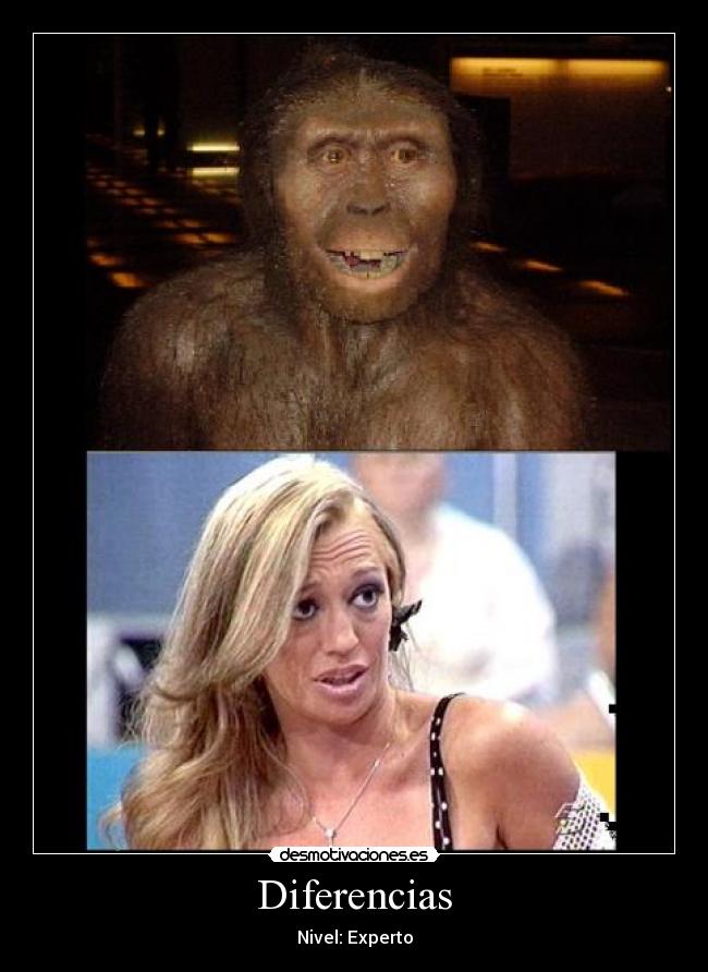 Diferencias - Nivel: Experto