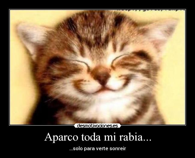 Aparco toda mi rabia... -