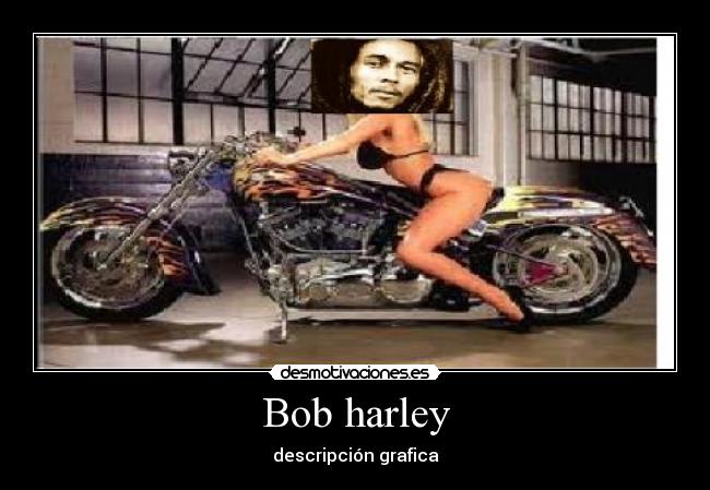 Bob harley - descripción grafica