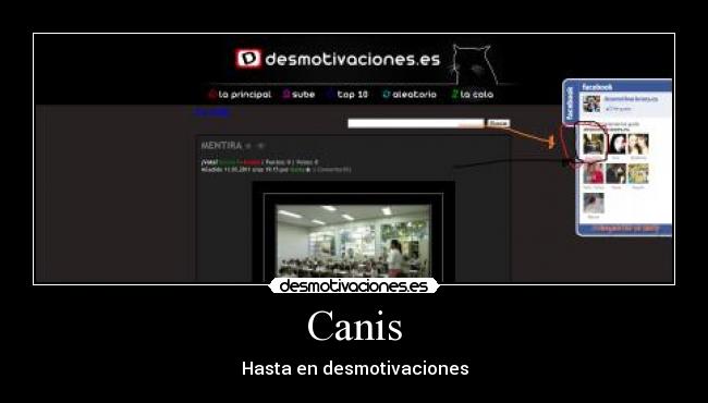 Canis - Hasta en desmotivaciones