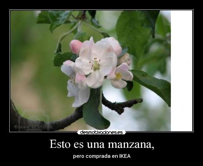 Esto es una manzana, - pero comprada en IKEA