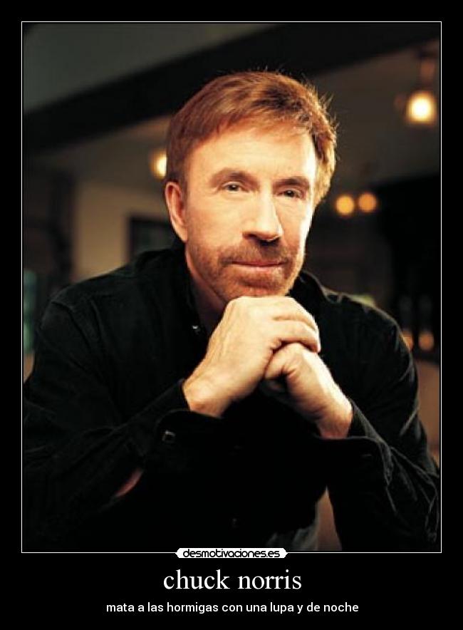 chuck norris -