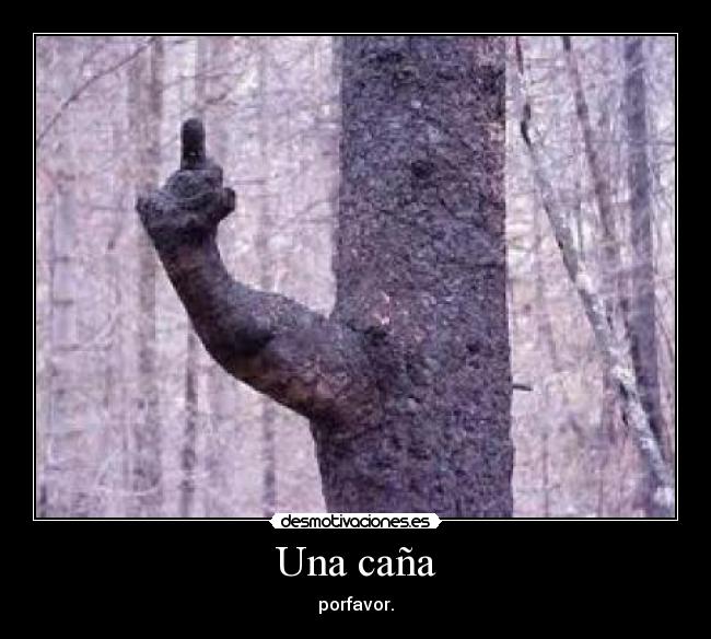 Una caña - porfavor.