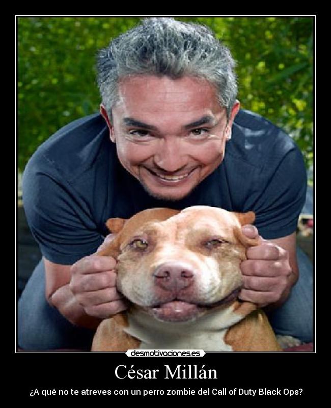 carteles cesar millan desmotivaciones