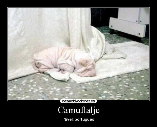 Camuflalje - 