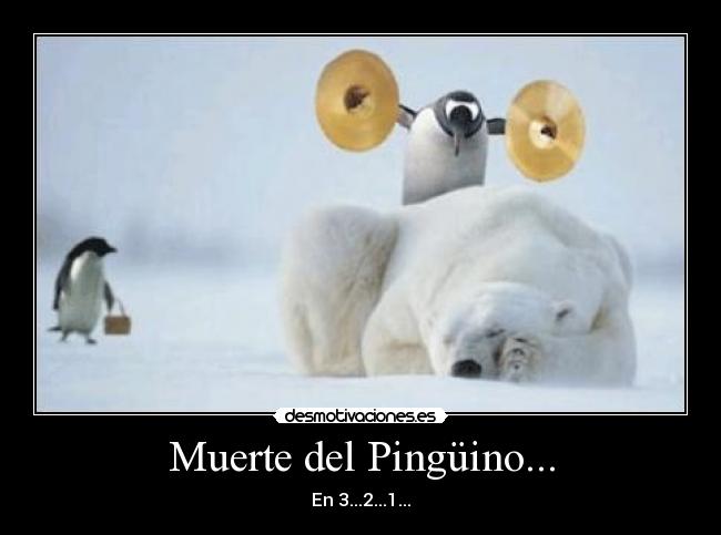 Muerte del Pingüino... -