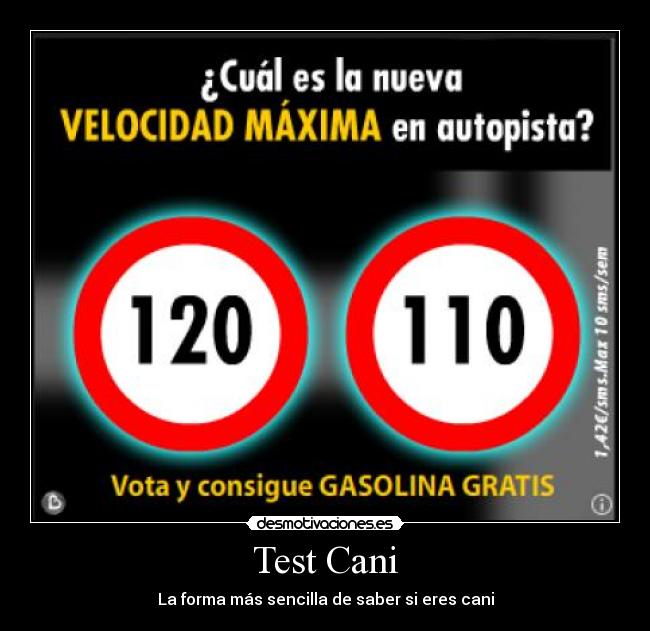 Test Cani -
