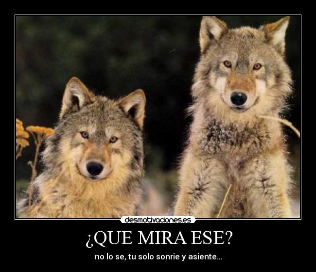¿QUE MIRA ESE? - no lo se, tu solo sonrie y asiente...