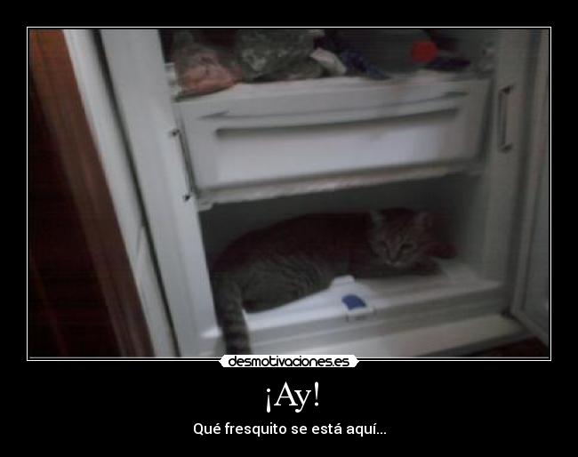 carteles que fresquito desmotivaciones