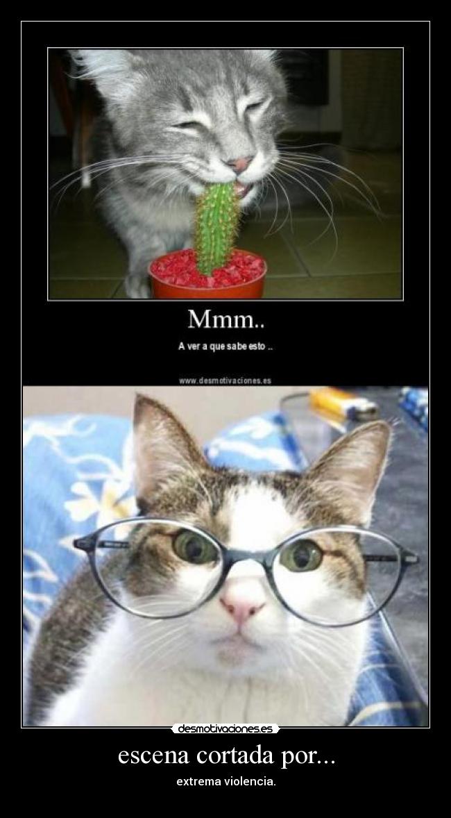 escena cortada por... - extrema violencia.