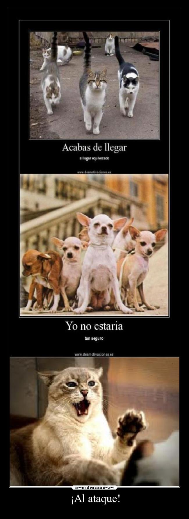 ¡Al ataque! - 