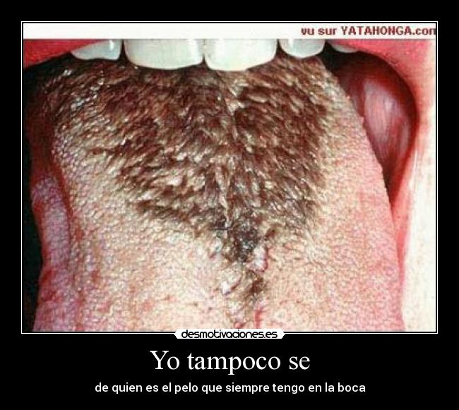 carteles pelos desmotivaciones