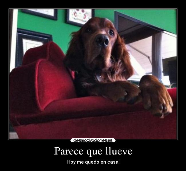 Parece que llueve - 