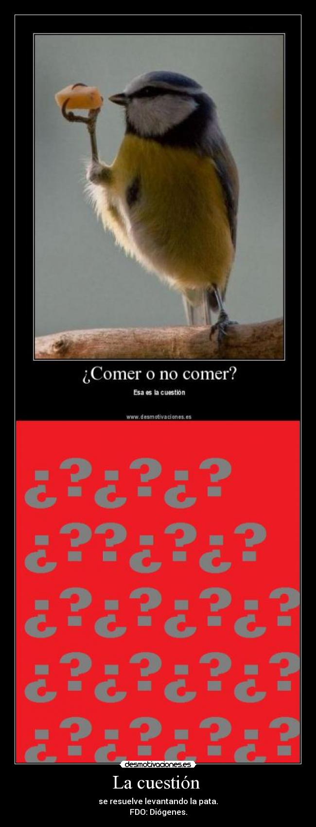 La cuestión - se resuelve levantando la pata.
FDO: Diógenes.