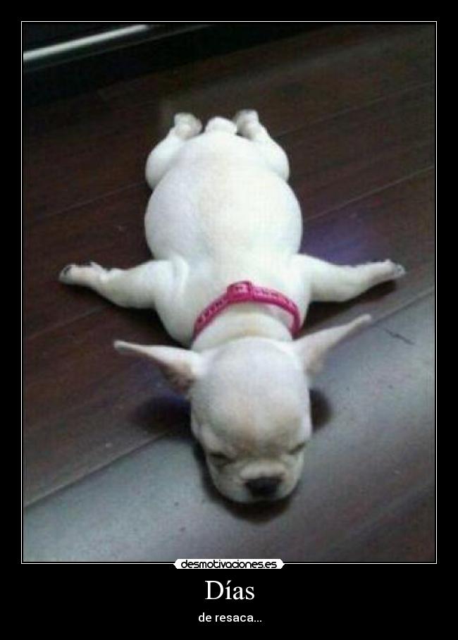 Días - de resaca...