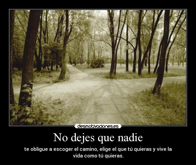 No dejes que nadie -