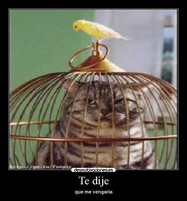 Te dije - que me vengaría