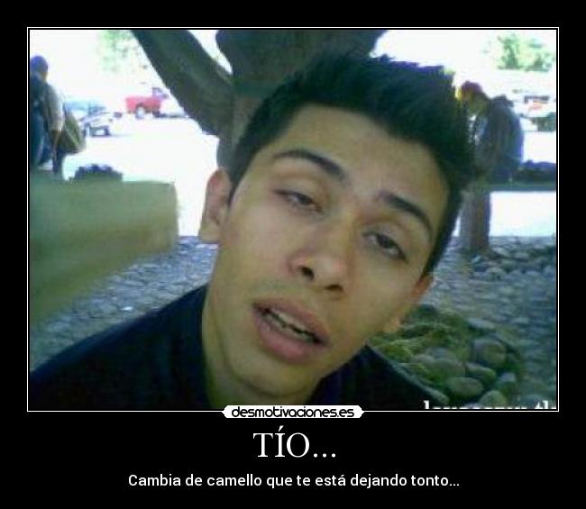 TÍO... - Cambia de camello que te está dejando tonto...