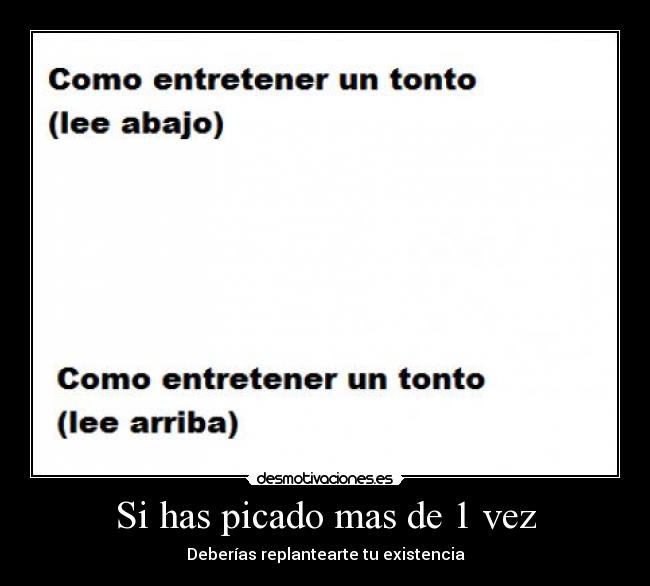 Si has picado mas de 1 vez - Deberías replantearte tu existencia