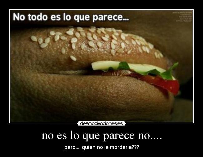 no es lo que parece no.... - pero.... quien no le morderia???