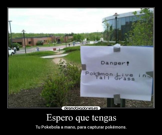Espero que tengas - Tu Pokebola a mano, para capturar pokémons.