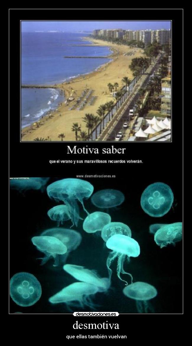 carteles medusas cartel cartel desmotivaciones