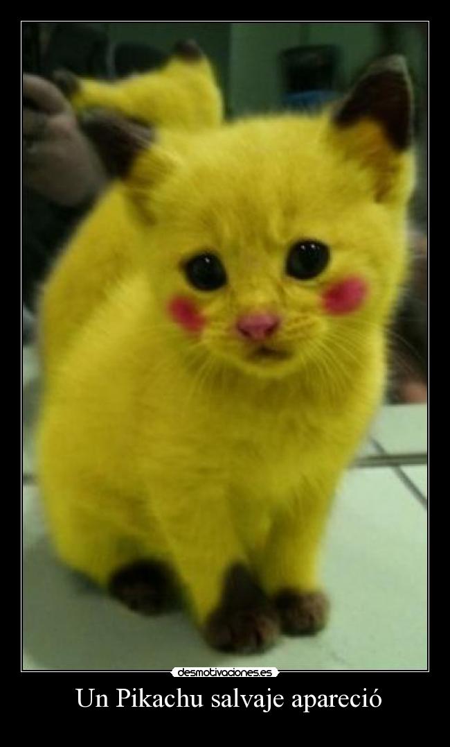  Un Pikachu salvaje apareció - 
