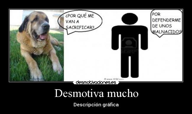 Desmotiva mucho - 