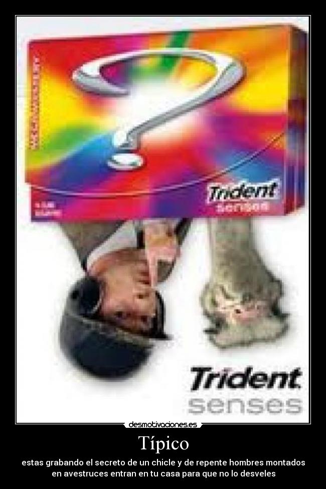 carteles tipico hombres avestruces chicles secreto desmotivaciones