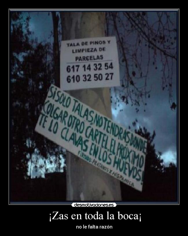 ¡Zas en toda la boca¡ - no le falta razón