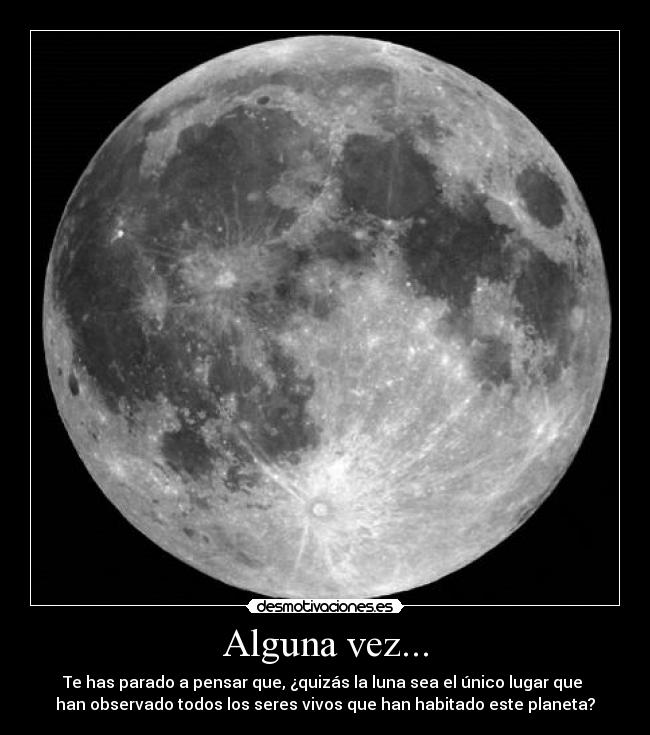 Alguna vez... - Te has parado a pensar que, ¿quizás la luna sea el único lugar que 
han observado todos los seres vivos que han habitado este planeta?