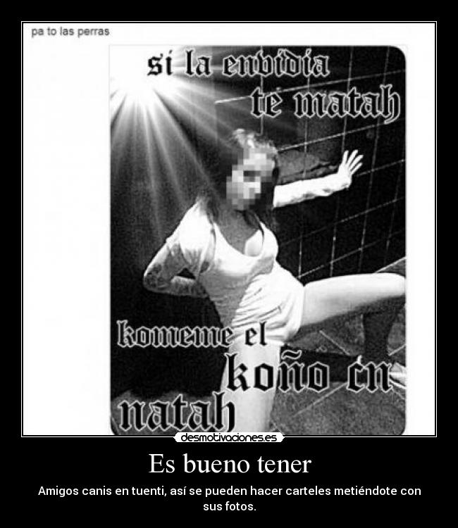 Es bueno tener - Amigos canis en tuenti, así se pueden hacer carteles metiéndote con sus fotos.