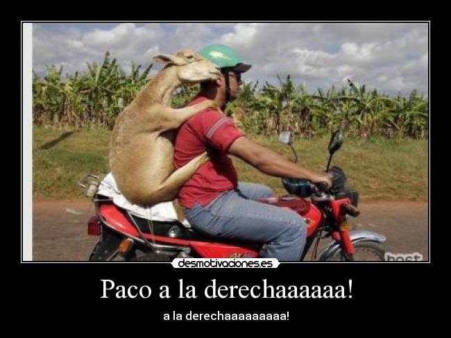 Paco a la derechaaaaaa! - a la derechaaaaaaaaa!