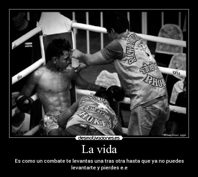 carteles vida vida desmotivaciones