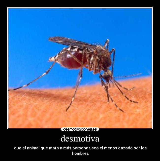 carteles animales desmotivaciones