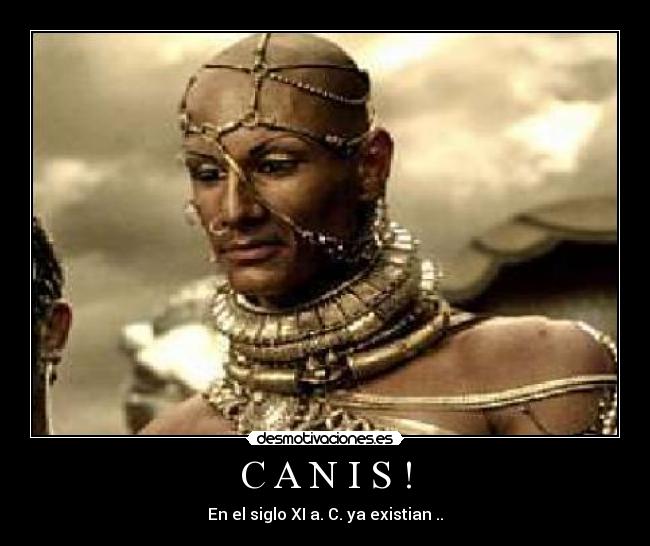 carteles desmotivaciones