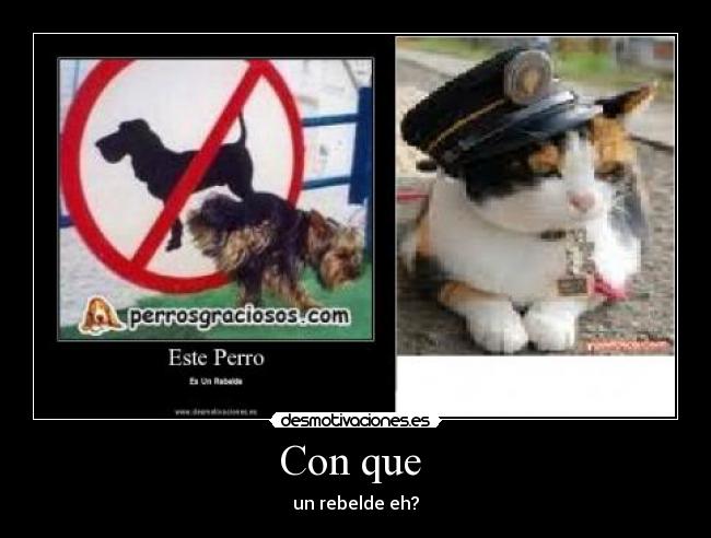 carteles corre desmotivaciones