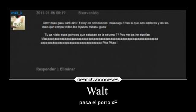 Walt - pasa el porro xP