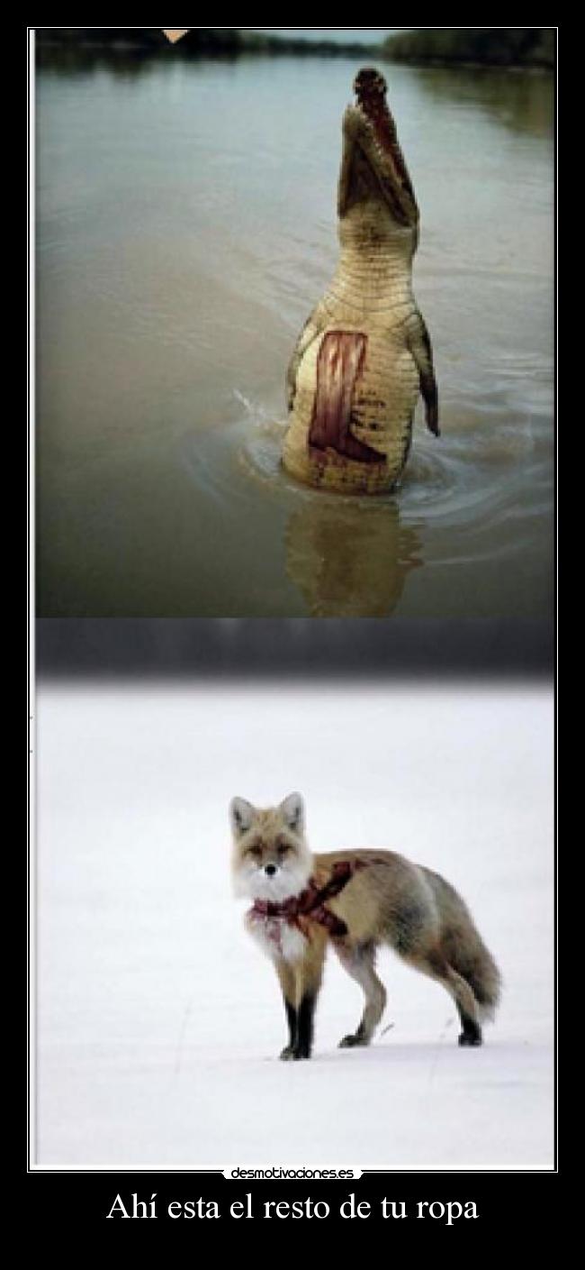 Ahí esta el resto de tu ropa - 