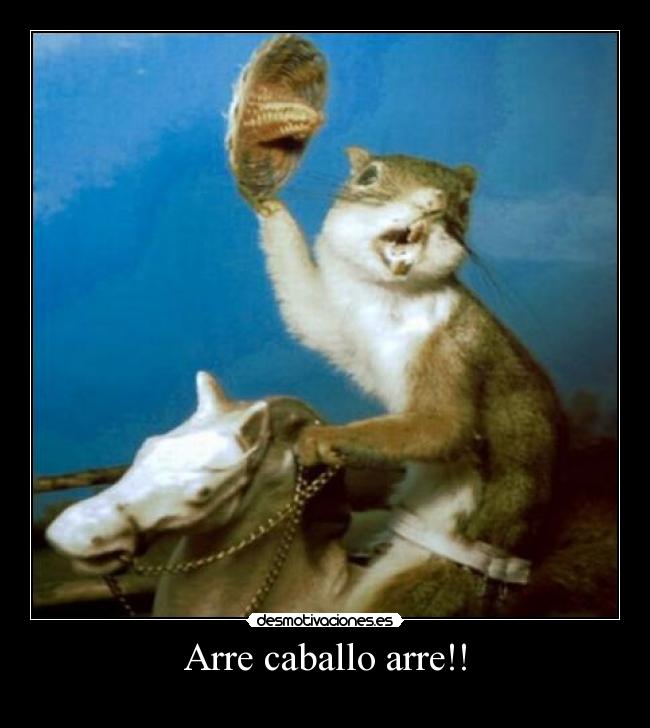 Arre caballo arre!! -