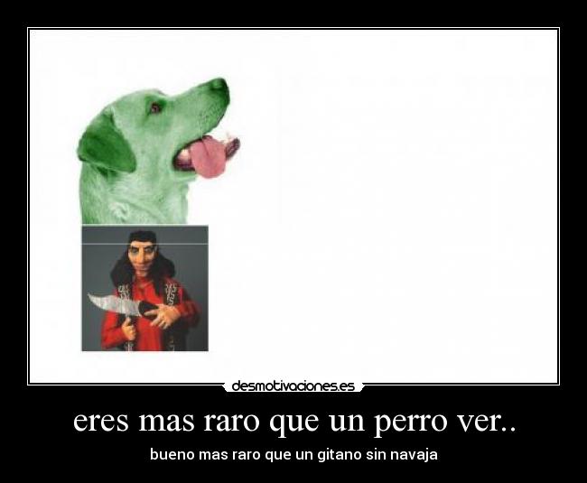 eres mas raro que un perro ver.. - 