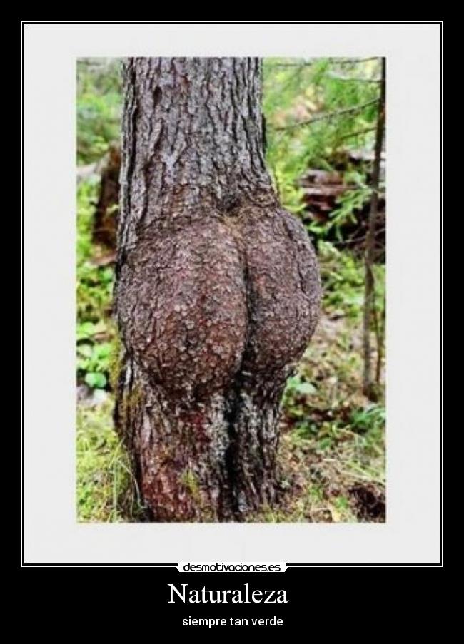 Naturaleza - siempre tan verde