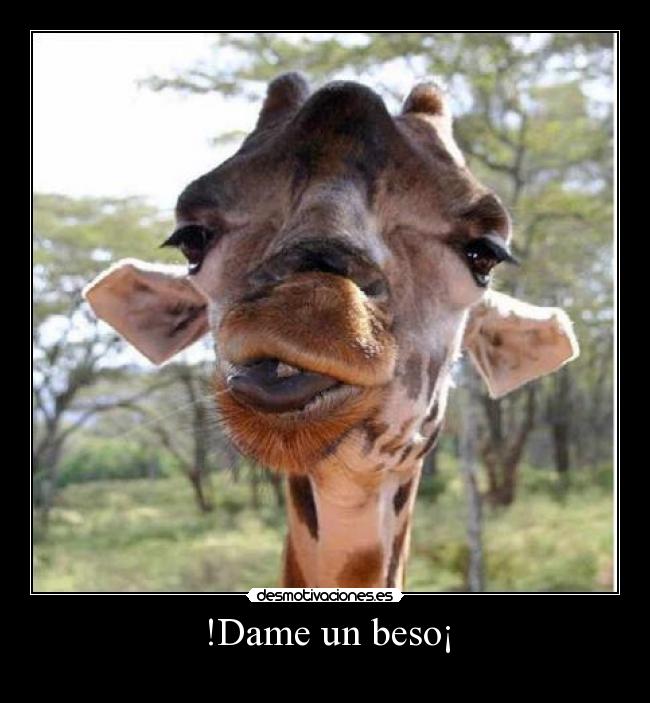 !Dame un beso¡ -