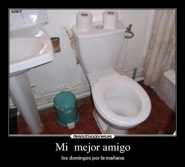 Mi mejor amigo - los domingos por la mañana