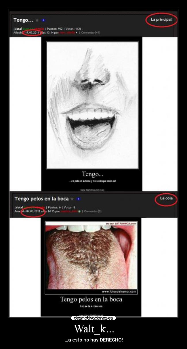Walt_k... - ...a esto no hay DERECHO!
