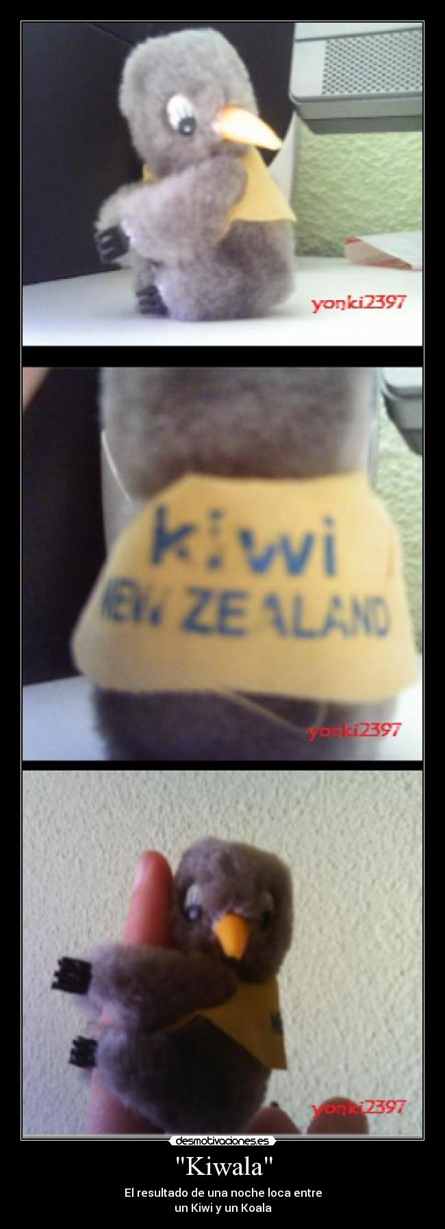 Kiwala - El resultado de una noche loca entre
un Kiwi y un Koala