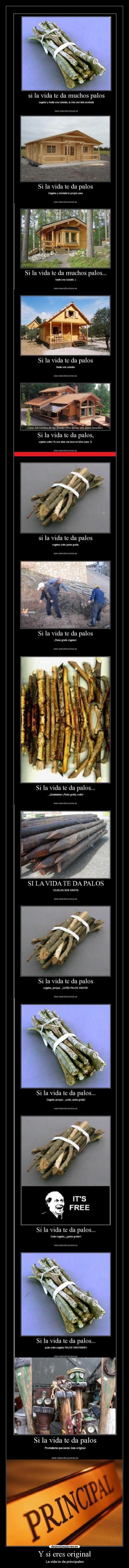 Y si eres original - 