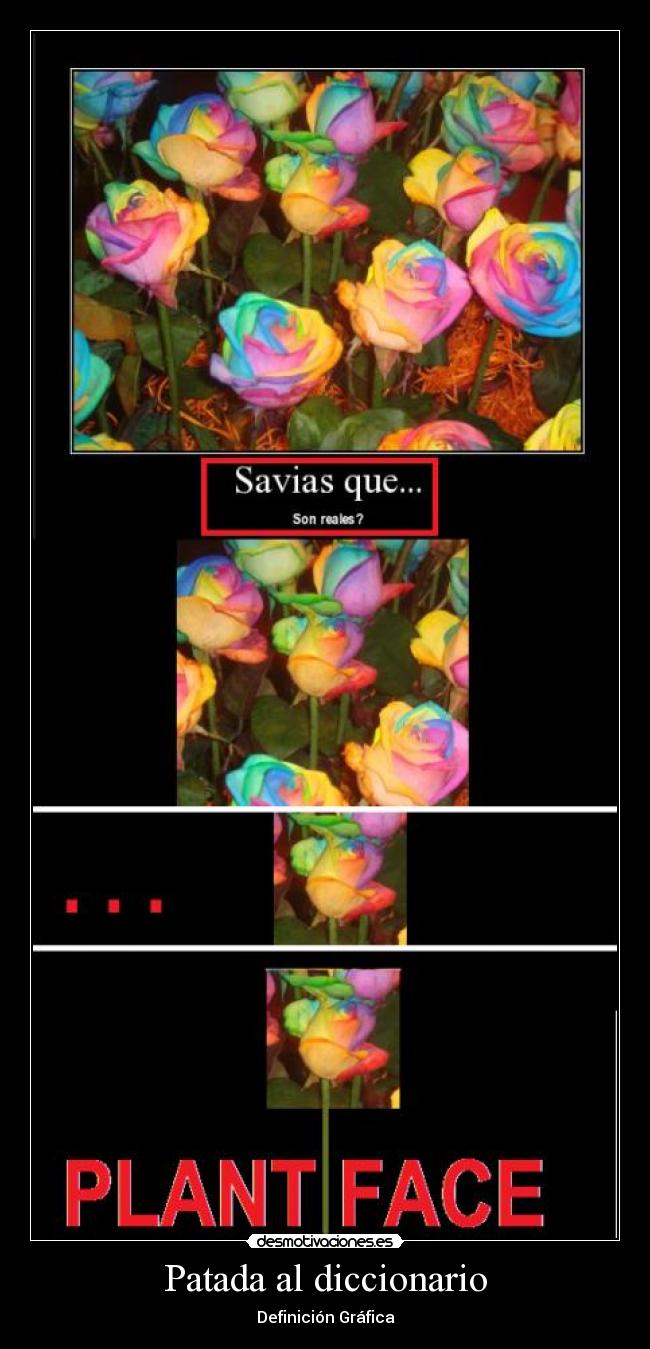 Patada al diccionario -