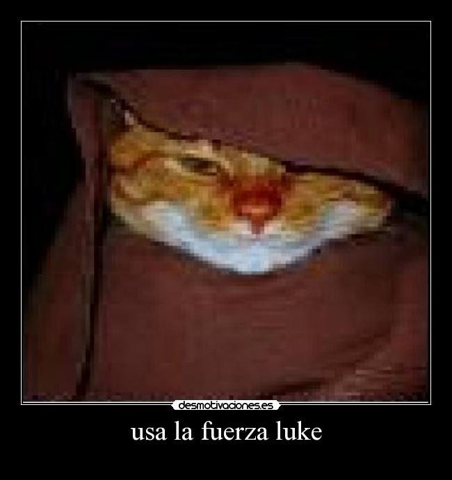 usa la fuerza luke -